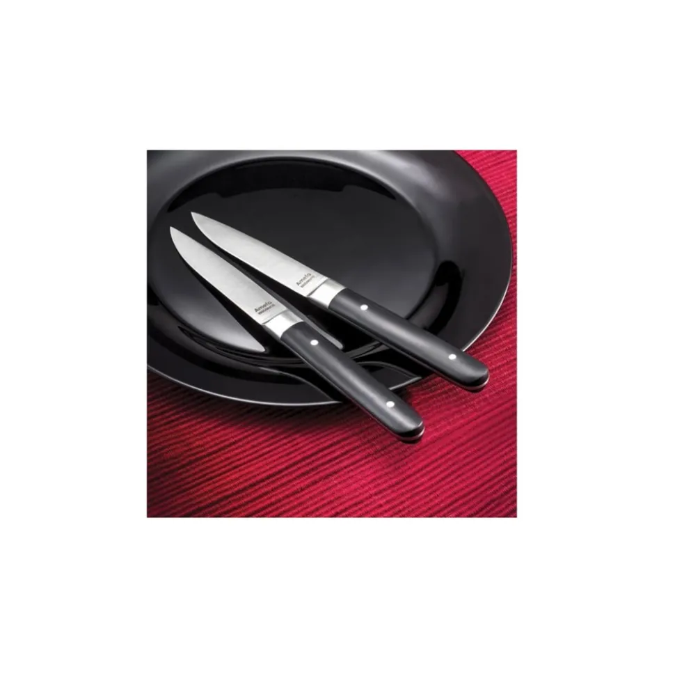 Amefa coffret de 4 couteaux à steak - 4918aamb02br4