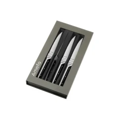 Amefa coffret de 4 couteaux à steak - 2540aamb02br4
