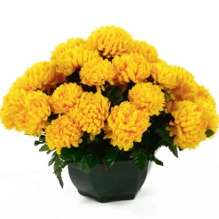 ARCHE DIFFUSION - Coupe de chrysanthèmes artificiels, 28 fleurs - Jaune