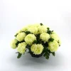 ARCHE DIFFUSION - Coupe de chrysanthèmes artificiels, 28 fleurs- Blanc