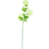 ARCHE DIFFUSION - Fleur artificielle tige boule de neige vert H.61cm