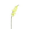 ARCHE DIFFUSION - Fleur artificielle tige d'orchidée marbrée blanc H.87cm