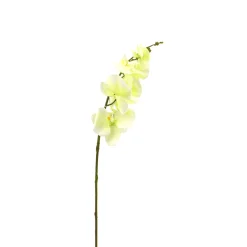 ARCHE DIFFUSION - Fleur artificielle tige d'orchidée marbrée blanc H.87cm