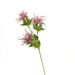 ARCHE DIFFUSION - Fleur artificielle tige de chardon sauvage rose H.66cm