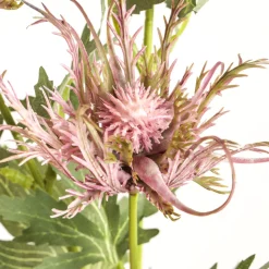 ARCHE DIFFUSION - Fleur artificielle tige de chardon sauvage rose H.66cm