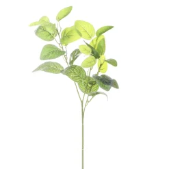 ARCHE DIFFUSION - Fleur artificielle tige feuillage fittonia blanc H.66cm