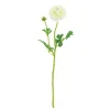 ARCHE DIFFUSION - Fleur artificielle tige de renoncule blanc H.61cm