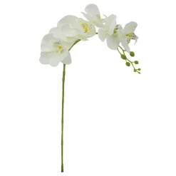 ARCHE DIFFUSION - Fleur artificielle tige d'orchidée phalaenopsis blanc H.82cm