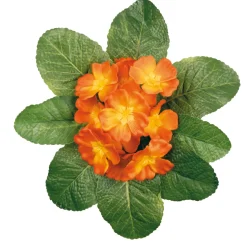 ARCHE DIFFUSION - Fleurs artificielles - bouquet de primevères