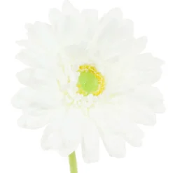 ARCHE DIFFUSION - Gerbera Blanc