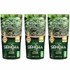 AROMANDISE - Thé vert bio japonais sencha 255 g