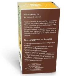 AROMANDISE - Tisane gingembre et citron biologique - 20 sachets