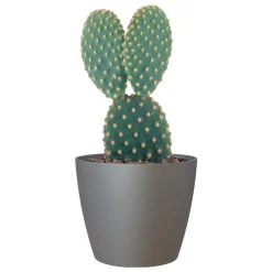 ARTEVASI - Cache-pot d'intérieur San Remo en plastique anthracite Ø20cm