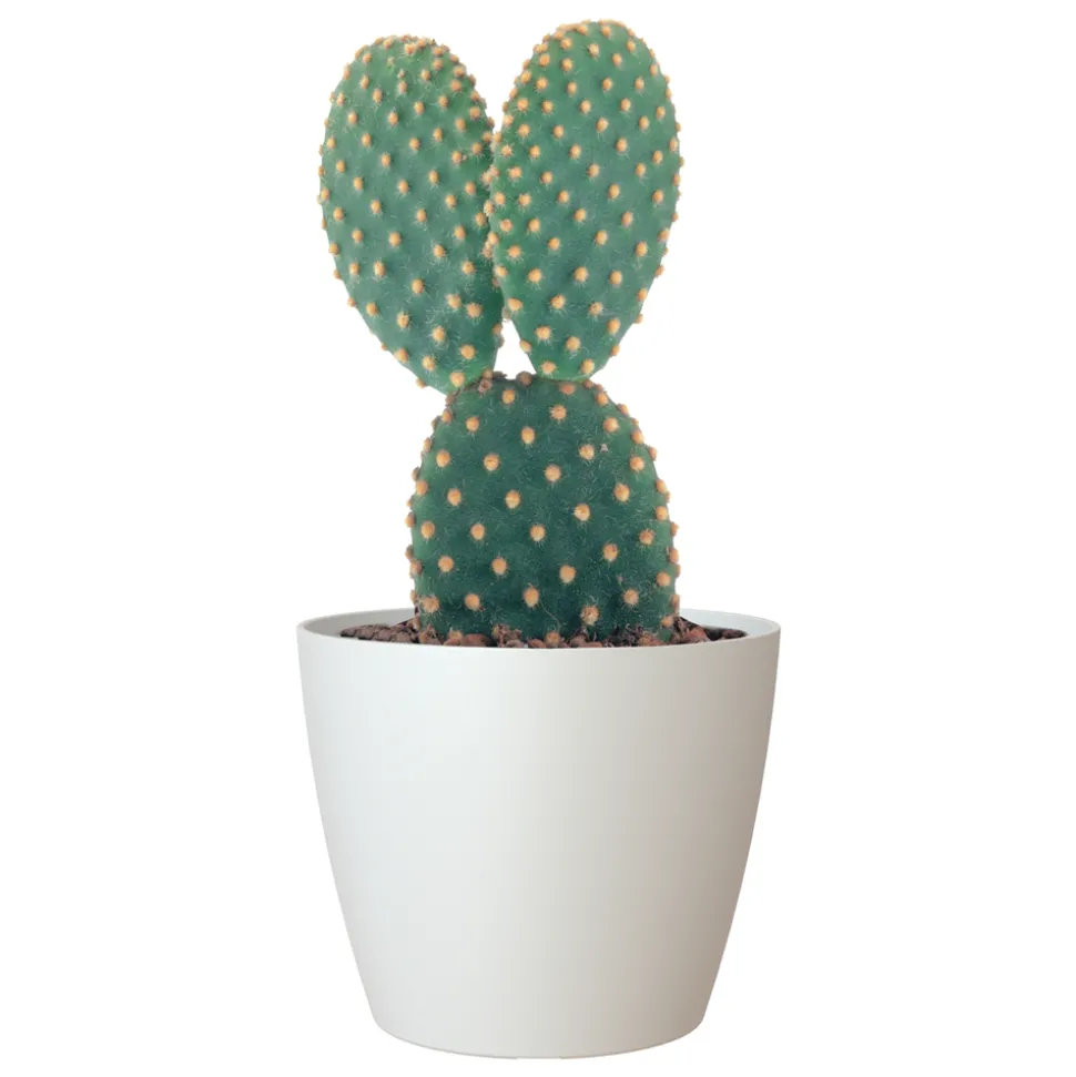 ARTEVASI - Cache-pot d'intérieur en plastique San Remo blanc Ø14cm