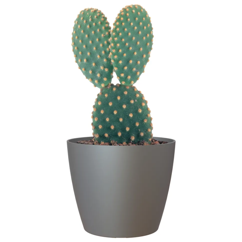 ARTEVASI - Cache-pot d'intérieur en plastique San Remo anthracite Ø14cm