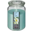 ATMOSPHERA - Bougie parfumée fleur de tiaré pot en verre 510 g
