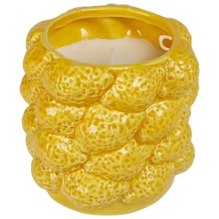 ATMOSPHERA CREATEUR D'INTERIEUR - Bougie parfumée "yucatan" agrume 400g