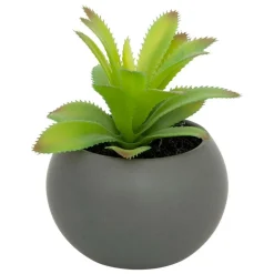 ATMOSPHERA CREATEUR D'INTERIEUR - Plante grasse en pot h13