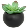 ATMOSPHERA CREATEUR D'INTERIEUR - Plante grasse en pot h13