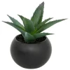 ATMOSPHERA CREATEUR D'INTERIEUR - Plante grasse en pot h13