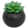 ATMOSPHERA CREATEUR D'INTERIEUR - Plante grasse en pot h13