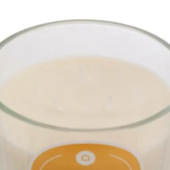 ATMOSPHERA CREATEUR D'INTERIEUR - Bougie parfumée " floa" vanille 610g