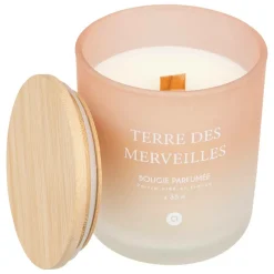 ATMOSPHERA CREATEUR D'INTERIEUR - Bougie parfumée "terre des merveilles" pétales de musc 255g