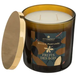 ATMOSPHERA CREATEUR D'INTERIEUR - Bougie parfumée 