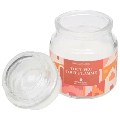 ATMOSPHERA CREATEUR D'INTERIEUR - Bougie parfumée "jomy" - grenade noire - 70g