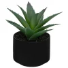 ATMOSPHERA CREATEUR D'INTERIEUR - Plante grasse en pot h13