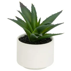 ATMOSPHERA CREATEUR D'INTERIEUR - Plante grasse en pot h13