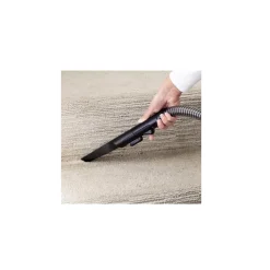 Bissell nettoyeur vapeur traîneau 750w - 15589