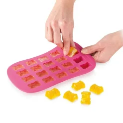 CHEVALIER DIFFUSION - Moules à bonbons x 2