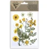 CLAIREFONTAINE - Pochette de 12 fleurs pressées séchées, assortiment jaune, 13x20,5cm