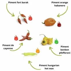 CULTIVEA - Kit Prêt à Pousser Piment - Piment de Cayenne, Piment fort barak, Piment Hungarian, Piment Bonbon, Habanero Orange - DIY