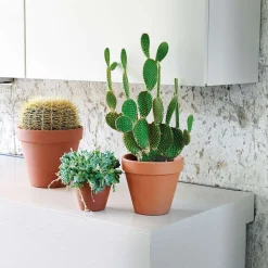 DEROMA - Pot Horticole en terre cuite Ø 25,1 x H. 21,7cm