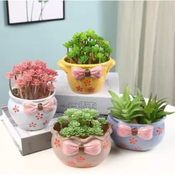 DTOPBUYAGE - Pot céramique coloré 12x10x7cm fleurs