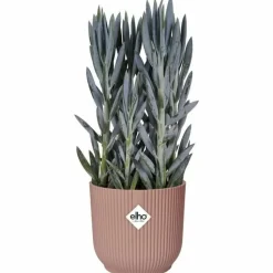 ELHO - Pot de fleurs rond vibes - plastique - ø 25 - rose poudré