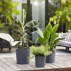 ELHO - Pot Greensense Aqua Care ciment rond, avec réservoir d'eau - D.43cm