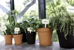 ELHO - Pot Provence en plastique, noir Ø 40 cm