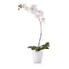 EMERALD - Orchidée, blanc H. 64 cm, dans pot Ø 11 cm