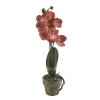 EMERALD - Orchidée mini, lilas foncé H. 25 cm, en pot