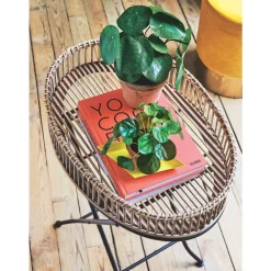 EMERALD - Pot Pilea 25 cm - Plante verte artificielle