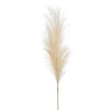 EMERALD - Tige artificielle : herbe de la pampa, coloris naturel - H.115cm