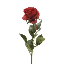 EMERALD - Tige rose simone, rouge H. 73 cm