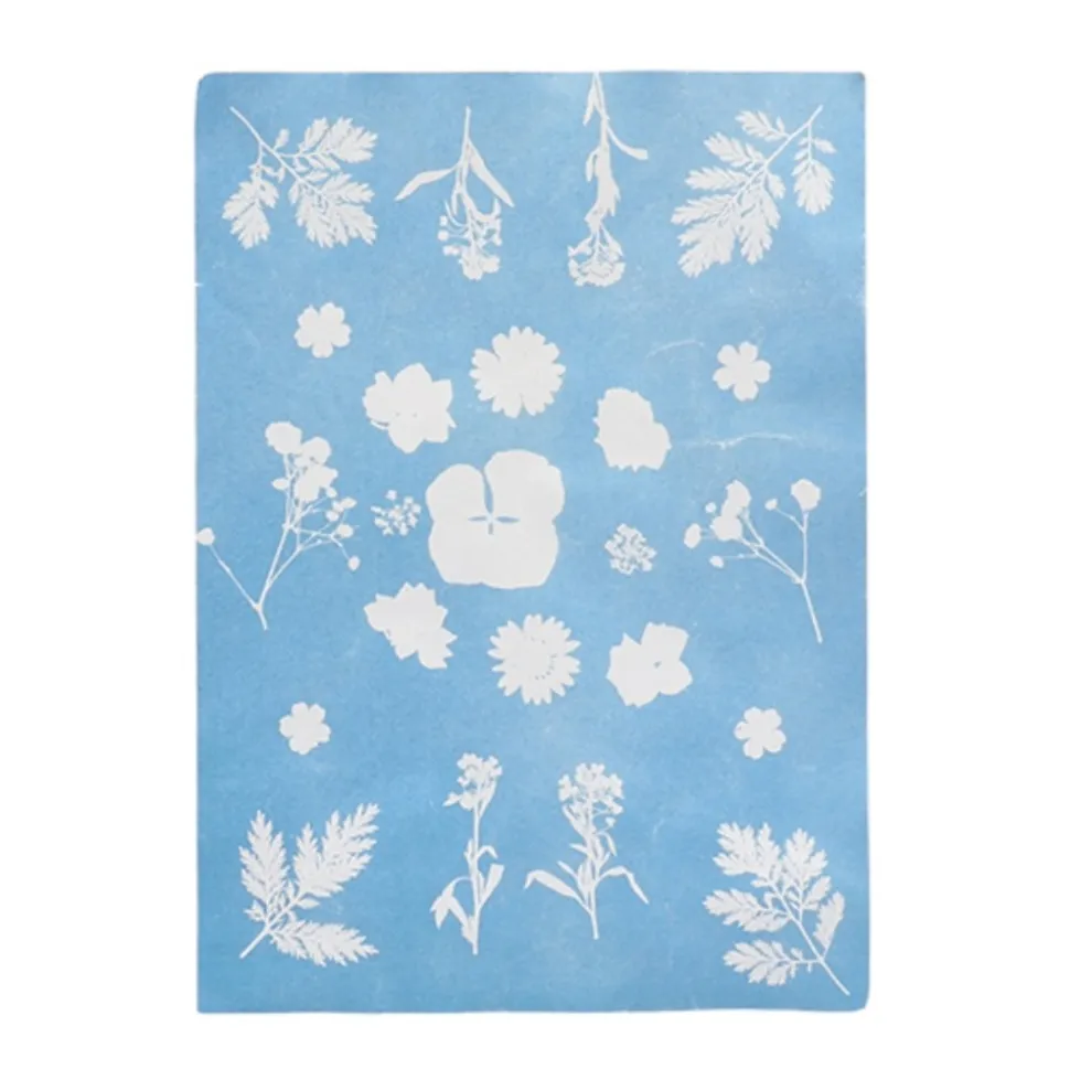 ESSCHERT DESIGN - Diy papier photo solaire a5