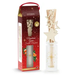 ESTEBAN - Bouquet parfumé, diffuseur d'ambiance mandarine givrée - 100ml