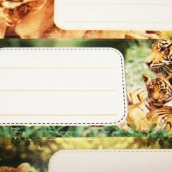 GLOBAL GIFT - 12 étiquettes adhésives scolaires - rectangle - photos félins