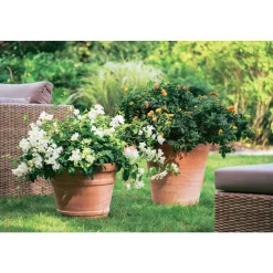 GOICOECHEA - Cuvier Contemporain en terre cuite Ø 39 x H. 38cm