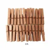 GRAINE CRÉATIVE - 96 mini pinces à linge bois 3 cm - cuivrées